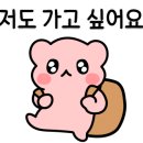 하즈잉글리쉬학원 네이버블로그