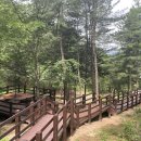 솔바람길 이미지