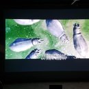 비봉2길 이미지