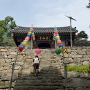 유가사 - 달성군 유가면 | 대구 달성군 유가읍 대구100대명산 비슬산 유가사