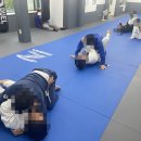 아트 주짓수 레슬링 | 목동주짓수 아트주짓수 강서 운동후기