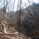 추원모차골 이미지