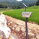 소뚝도랑 둘레길 팔당유역신문