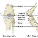 거제동물병원 이미지