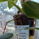 허준마을작은도서관 이미지