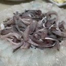 갯바위회수산 이미지