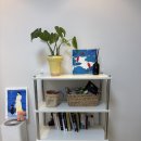 대서플랜트 | 자취생의 내돈내산 가구 모음집