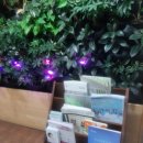 월계2동주민센터 이미지