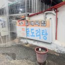 풍성손메밀묵집 | 대구 할매묵집 전현무계획 나온 현지인맛집 닭도리탕 메밀묵채 아이랑 후기