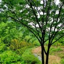 무궁화오토캠핑장 이미지