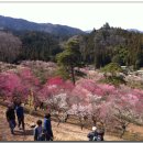 우용농장 이미지