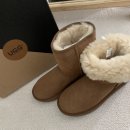 [UGG austrailan shepherd] 호주 어그 미들 숏 클래식-체스트넛
