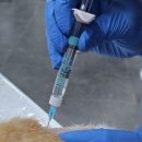 (주)벡스퍼트 이미지