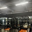 짐포레스트 이미지