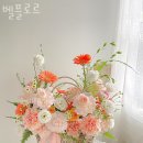 벨플로르 이미지