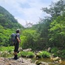 꿈꾸는유배지늡다리 | 자연이 원시의 모습 그대로 거기 있는 그곳..영월 내리(늡다리)계곡을 다녀오다.