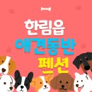 신트라움 | 제주도 한림읍 애견동반 펜션 정리