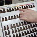 소미 | 지족동 뿌리염색 잘하는 곳 찾는다면? 소미에헤어 솔직후기