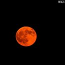 8일(월) 새벽, 달이 지구의 그림자에 완전히 가려지는 개기월식(皆旣月蝕) 현상 이미지