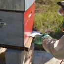 여수월 경로당 이미지