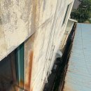 팀그로우 이미지