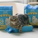 행복한멍냥이 | 고양이 두부모래 여기로 정착! 멍냥이 노리터 두부모래 후기