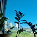 마석황토24시참숯사우나 이미지