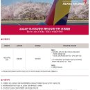 2024년 아시아나항공 캐빈승무원 인턴 공개채용 후기(1)