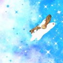 Dream Cat (드림캣) 이미지