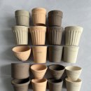 로자리안 이미지