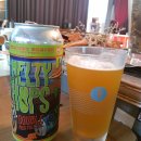 홉스(HOPS) 티스토리