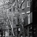 아담 빌리지 이미지