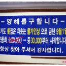 가거도횟집 이미지