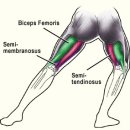 무릎통증 (1) -무릎 앞쪽의 통증 이미지