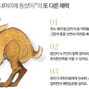 가족뮤지컬<누가 내 머리에 똥 쌌어> 이미지