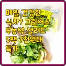 그린어스 | 매일 건강한 식사? 그린어스 무농약 샐러드 5팩 7천원대 특가