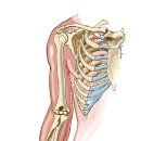 사운드바디짐 이미지