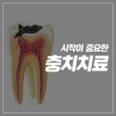 하나아동치과의원 이미지