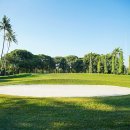 크루지아나 이미지