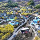 구례 버스킹 공연 이미지