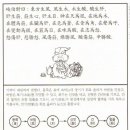 건강과약초 Daum카페