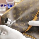양동수선 이미지