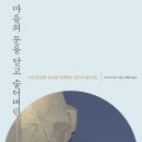 버고 티스토리