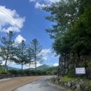 팔꽁이 | 대구 팔공산 캠핑 감성 가득 바베큐 식당 &#39;팔꽁이&#39; 내돈내산 여름 방문 후기