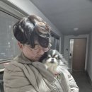 임신부 태교교실 (플라워바스켓-생화꽃바구니 만들기) | [일란성쌍둥이 임신일기][29주~31주] 본격적인 출산휴가, 생일 주간