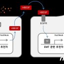인체공학연구원 이미지