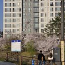 덕풍천서로 이미지