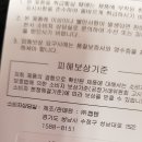 와이이피 이미지