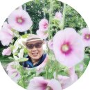 영상화원 이미지