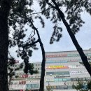아리아동심리발달센터 | 부산심리상담 아리아동심리발달센터에서 받은 16개월 아기 기질검사 후기